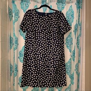JCrew Shift Navy and White Polka Dot Dress